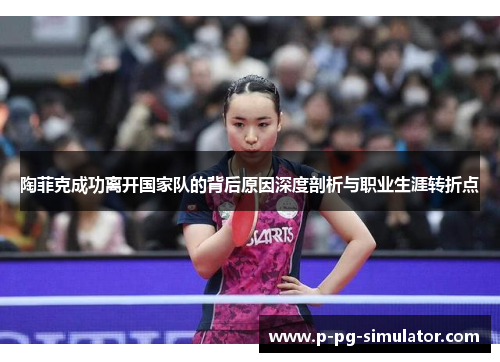 陶菲克成功离开国家队的背后原因深度剖析与职业生涯转折点