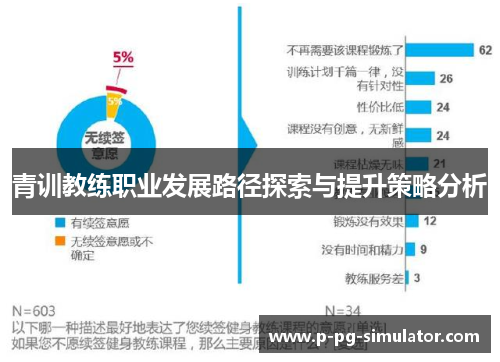 青训教练职业发展路径探索与提升策略分析